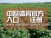 种植基地五(图1)