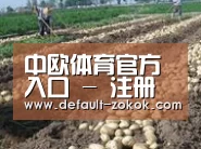 种植基地八