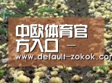 种植基地八(图1)