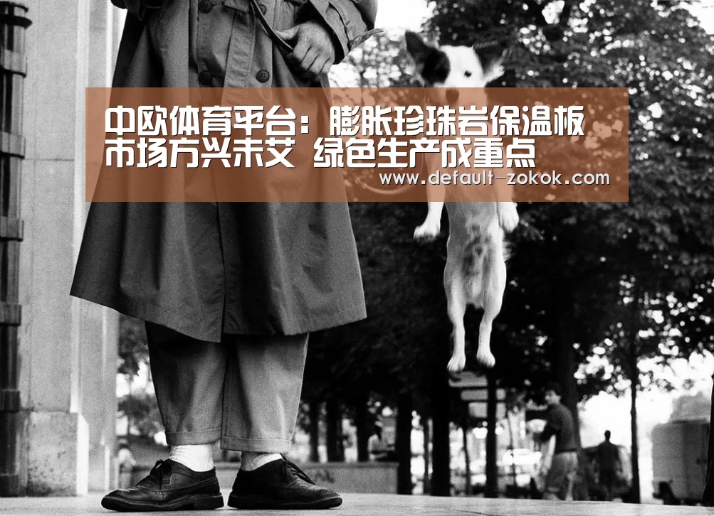 中欧体育平台:膨胀珍珠岩保温板市场方兴未艾 绿色生产成重点(图3) 中欧体育