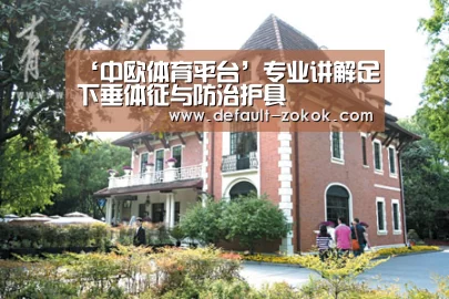 ‘中欧体育平台’专业讲解足下垂体征与防治护具(图4) 中欧体育