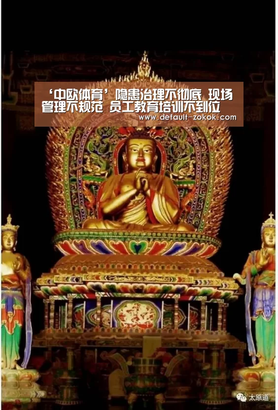 ‘中欧体育’隐患治理不彻底 现场管理不规范 员工教育培训不到位(图1) zoty体育