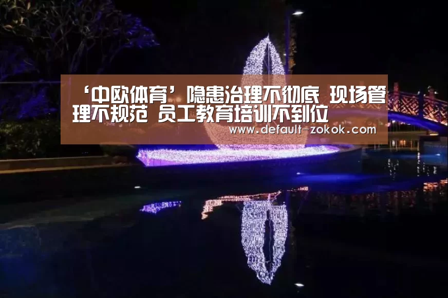 ‘中欧体育’隐患治理不彻底 现场管理不规范 员工教育培训不到位(图4) 中欧体育