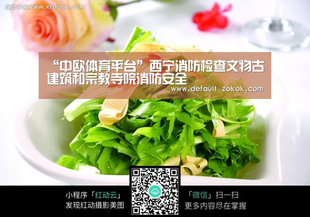 zoty体育