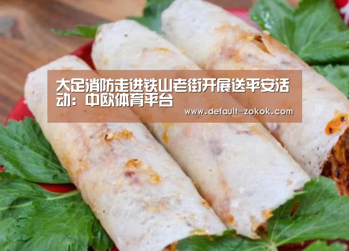 大足消防走进铁山老街开展送平安活动:中欧体育平台(图3) 中欧体育