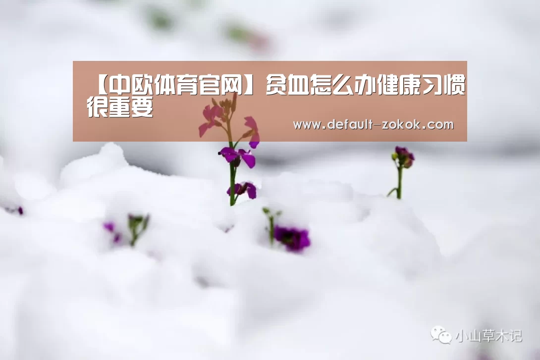 zoty体育