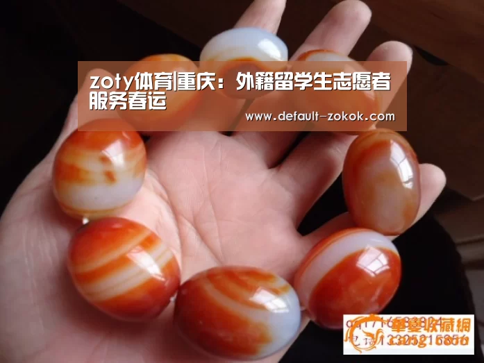 中欧体育