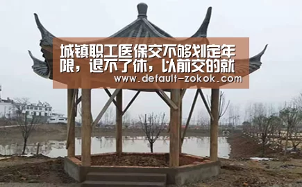 城镇职工医保交不够划定年限,退不了休,以前交的就白费了吗?_中欧体育(图1) 中欧体育