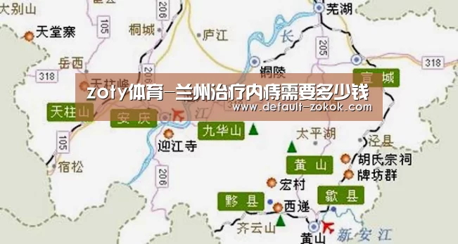 zoty体育-兰州治疗内痔需要多少钱(图2) 中欧体育官网