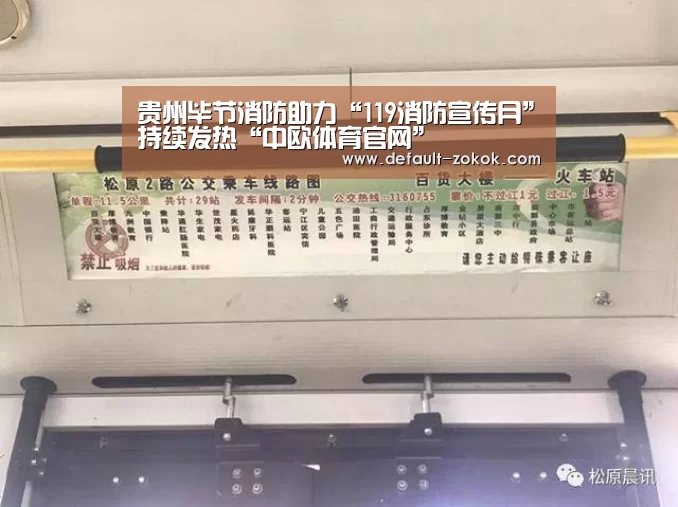 贵州毕节消防助力“119消防宣传月”持续发热“中欧体育官网”(图2) 中欧体育