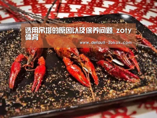 中欧体育
