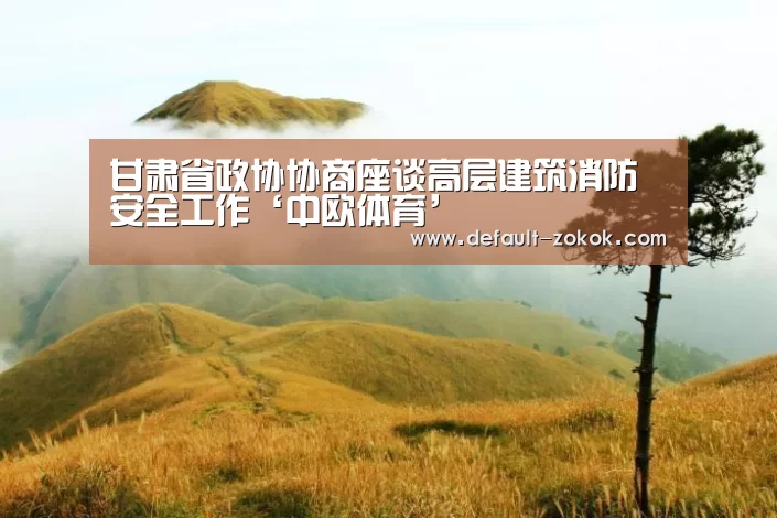 甘肃省政协协商座谈高层建筑消防安全工作‘中欧体育’(图3) 中欧体育