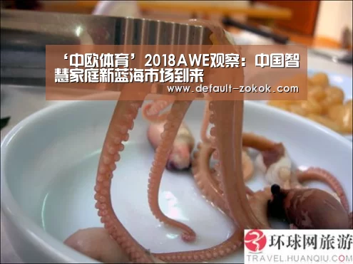 ‘中欧体育’2018AWE观察:中国智慧家庭新蓝海市场到来(图3) zoty体育