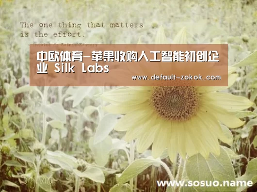 中欧体育-苹果收购人工智能初创企业 Silk Labs(图1) 中欧体育