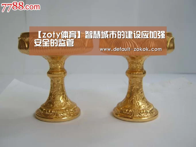 【zoty体育】智慧城市的建设应加强安全的监管(图2) zoty体育