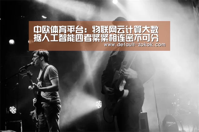 中欧体育平台:物联网云计算大数据人工智能四者紧紧相连密不可分(图2) zoty体育