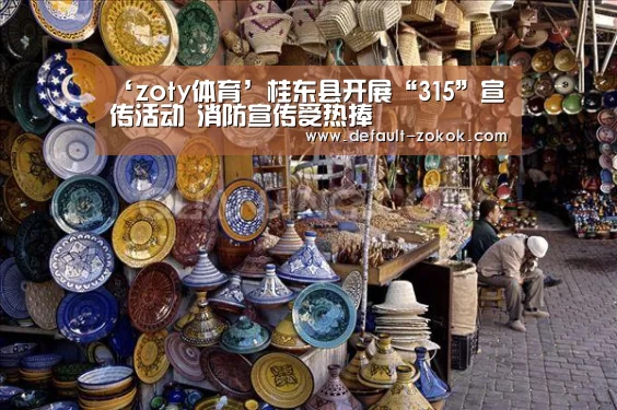 ‘zoty体育’桂东县开展“315”宣传活动 消防宣传受热捧(图1) 中欧体育官网