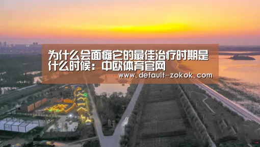 中欧体育平台