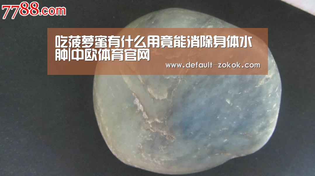 中欧体育平台