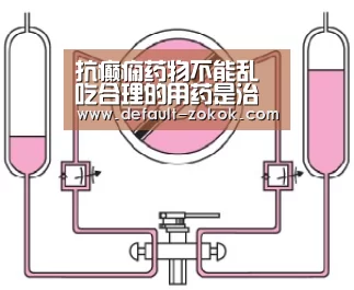 zoty体育